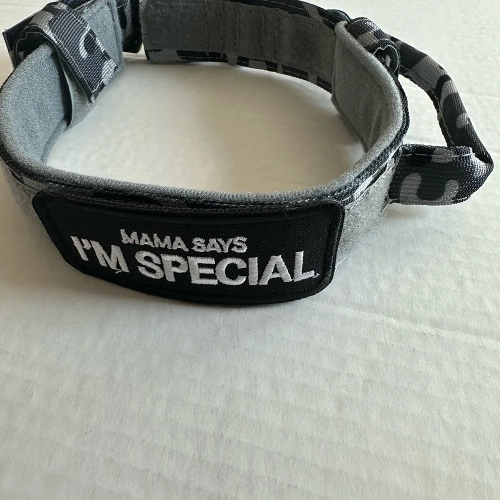 Medium Adjustable Military Training Nylon Dog Collar with Control Handle